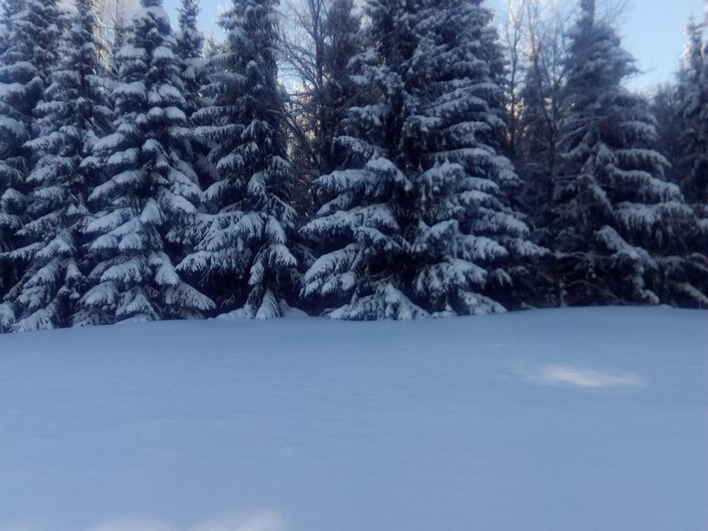 Cosy Apartment In Werda With Garden Екстериор снимка